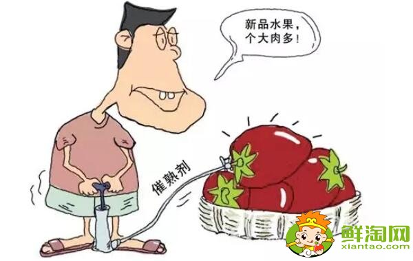 催熟的水果有激素嗎，催熟的水果會(huì)讓孩子性早熟嗎(不會(huì))