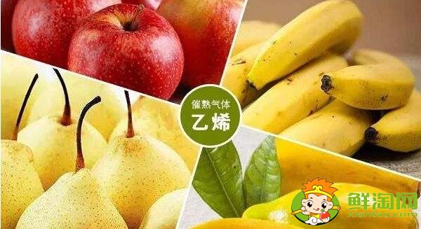 適合催熟的水果有哪些,什么水果催熟效果好
