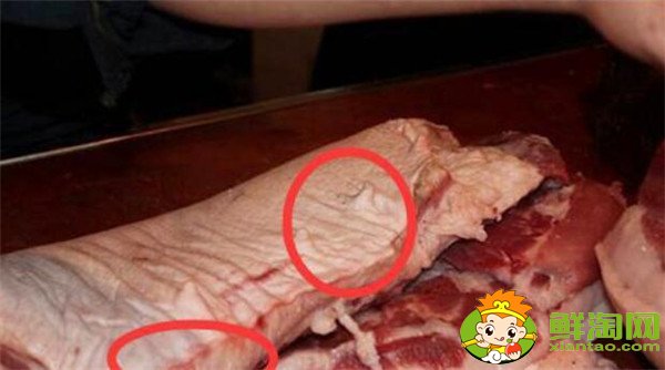公豬肉和母豬肉的區別是什么，公豬肉好吃還是母豬肉好吃