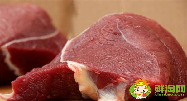 黃牛肉和水牛肉的區別在哪里，黃牛肉與水牛肉的區別