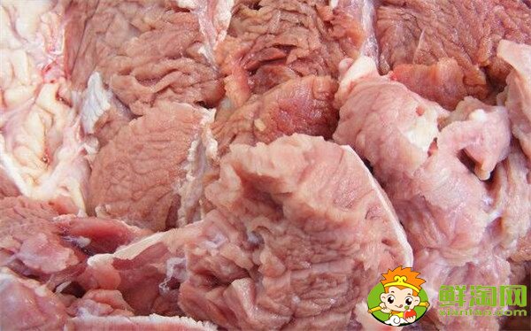 黃牛肉和水牛肉的區別在哪里，黃牛肉與水牛肉的區別