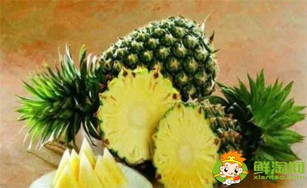 菠蘿和菠蘿蜜的關(guān)系，菠蘿和菠蘿蜜的區(qū)別