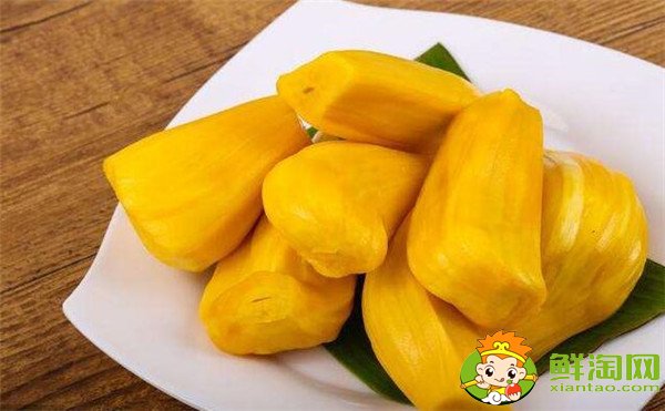 菠蘿和菠蘿蜜的關(guān)系，菠蘿和菠蘿蜜的區(qū)別