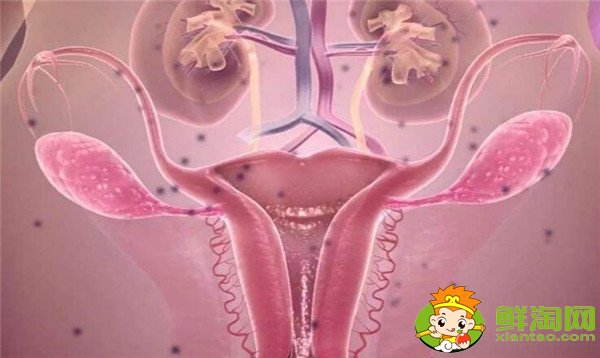 女人月經(jīng)期能吃蘋果嗎，女性宮寒月來(lái)經(jīng)期能吃蘋果嗎