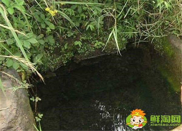 荔枝怎么保存時(shí)間長，荔枝怎么保存不會(huì)壞