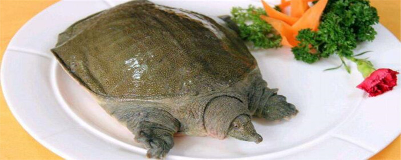 水魚怎么殺