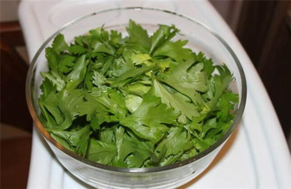 芹菜葉子能吃嗎，芹菜葉子怎么吃