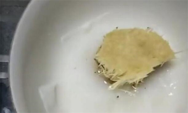 金針菇根部再生方法，金針菇培養(yǎng)液調(diào)制再生效果非常好