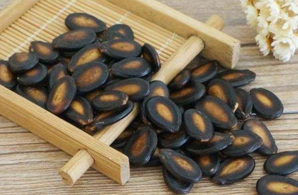 瓜子是不是堅果，瓜子種類有哪些