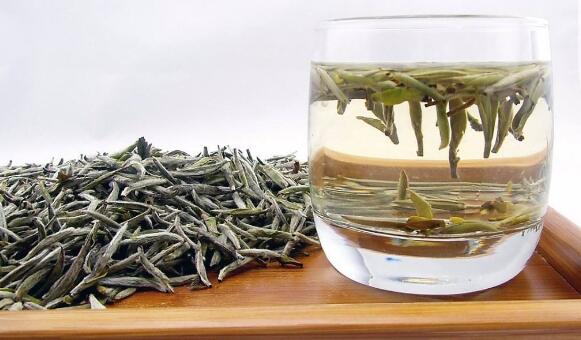白茶是什么茶，白茶的沖泡方法