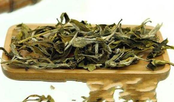 白茶是什么茶，白茶的沖泡方法