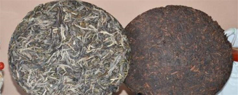 普洱茶生茶和熟茶的區(qū)別