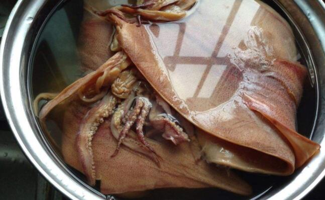 干魷魚怎么泡發