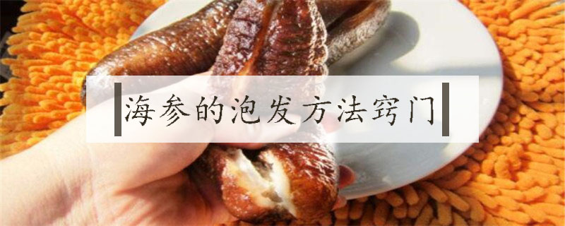 海參的泡發方法竅門