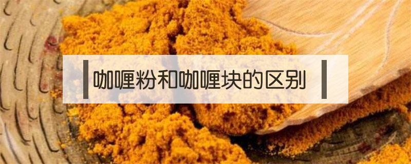咖喱粉和咖喱塊的區(qū)別