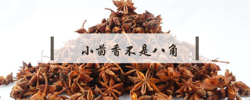 小茴香是八角嗎