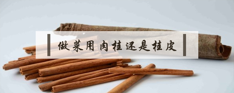 做菜用肉桂還是桂皮