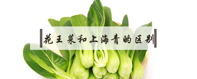 花王菜和上海青的區(qū)別