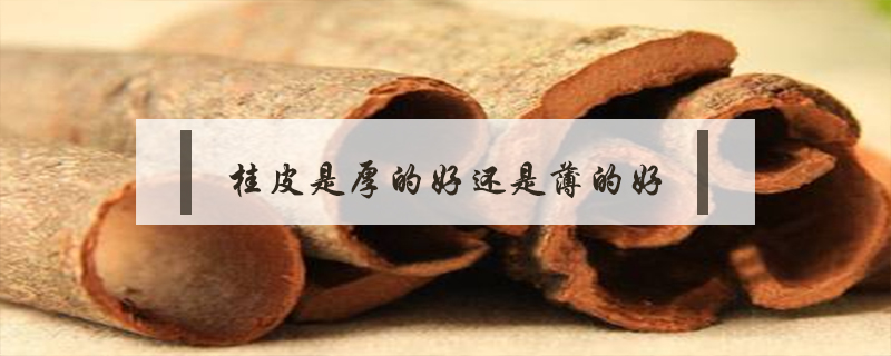 桂皮是厚的好還是薄的好