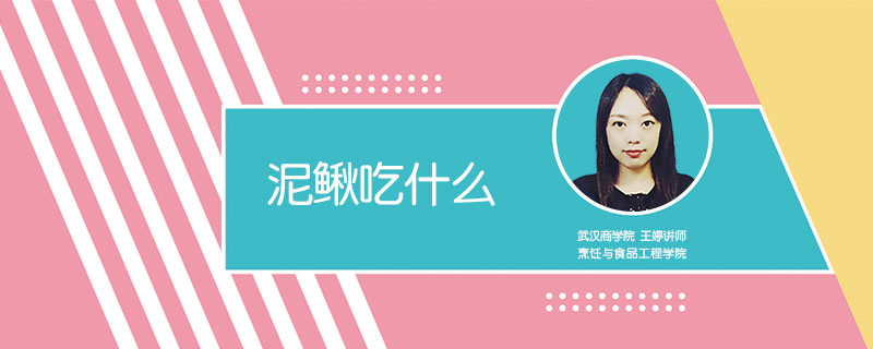泥鰍吃什么