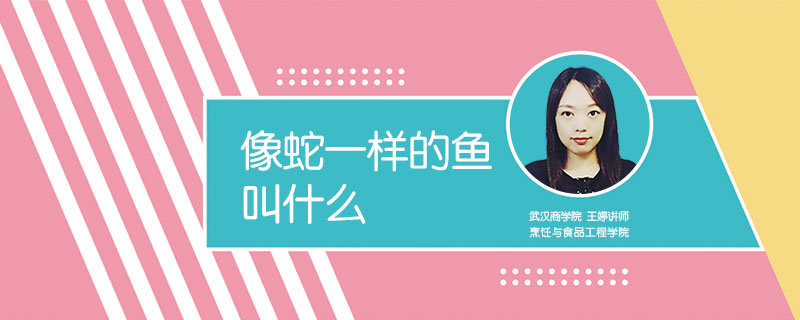 像蛇一樣的魚叫什么