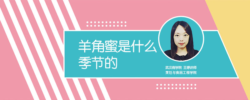 羊角蜜是什么季節(jié)的