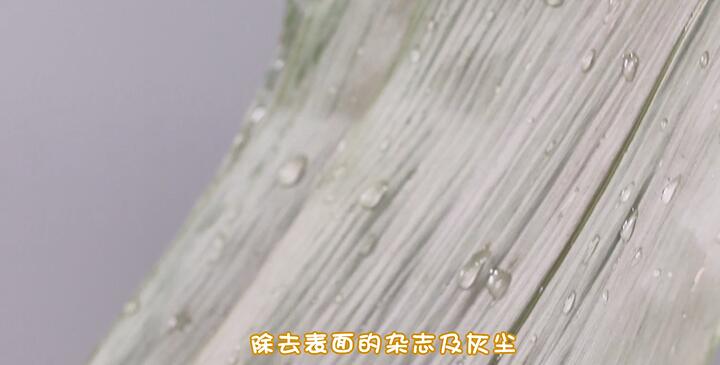 粽葉怎么煮