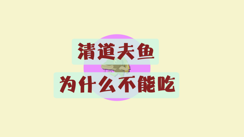 清道夫魚為什么不能吃
