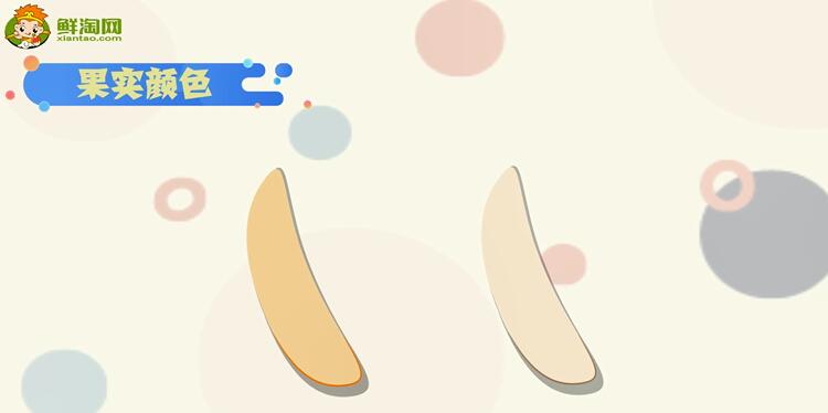 芭蕉和香蕉的區(qū)別