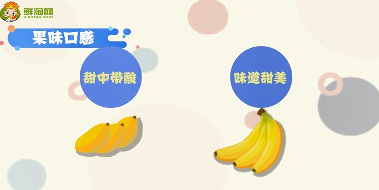 芭蕉和香蕉的區(qū)別