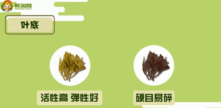 普洱生茶和熟茶的區(qū)別