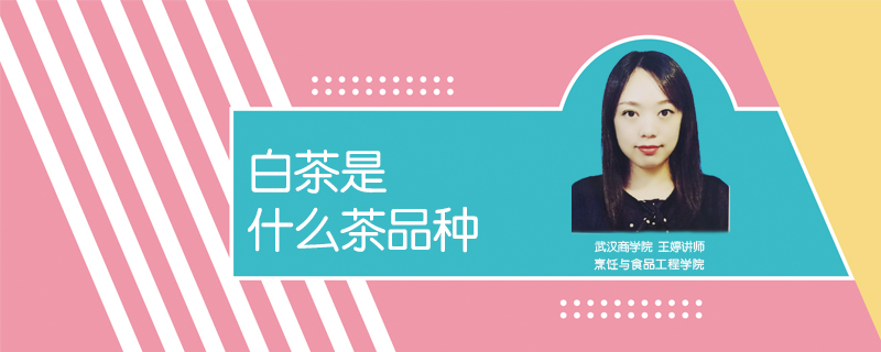 白茶是什么茶品種