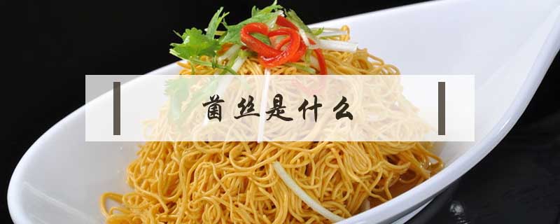 菌絲是什么