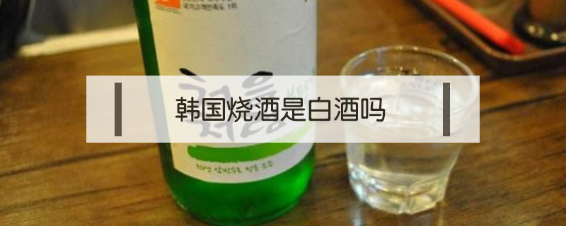 韓國(guó)燒酒是白酒嗎