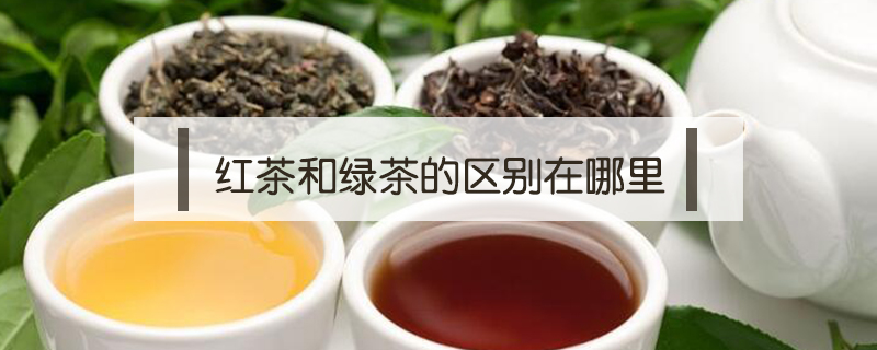 紅茶和綠茶的區(qū)別在哪里