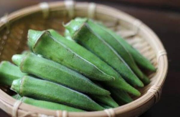 秋葵在浙江什么時候可以種植，秋葵剛結果什么時候可以摘