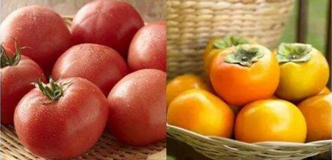 柿子和西紅柿有什么區(qū)別,柿子和西紅柿怎么分辨