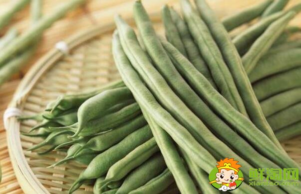 蕓豆是不是四季豆，白蕓豆和白扁豆的區別