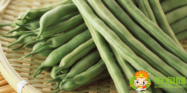 四季豆是什么季節的菜,四季豆是什么時候上市