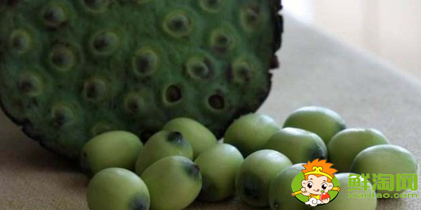 種蓮蓬哪個(gè)品種好，什么品種的藕結(jié)蓮蓬多