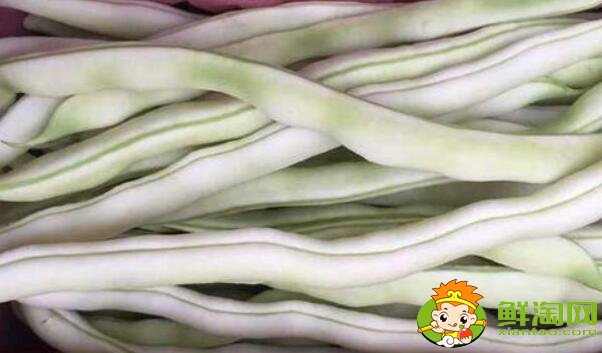 白色的豆角叫什么，白不老豆角有毒嗎
