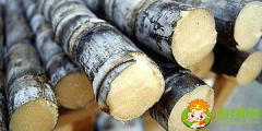大連甘蔗什么時候成熟，大連哪里有種甘蔗的