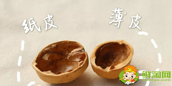 薄皮核桃和厚皮核桃哪個好,薄皮核桃和紙皮核桃有什么區別