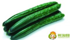 旱黃瓜和山黃瓜一樣嗎，什么旱黃瓜品種最好吃