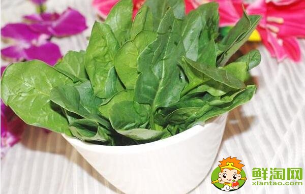 菠菜什么季節(jié)吃，菠菜可不可以生吃