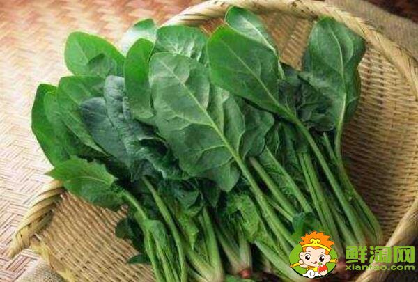 菠菜什么季節(jié)吃，菠菜可不可以生吃
