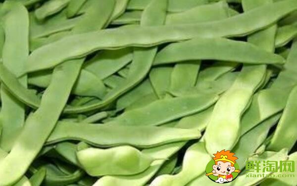 扁豆什么品種好，最大的扁豆品種