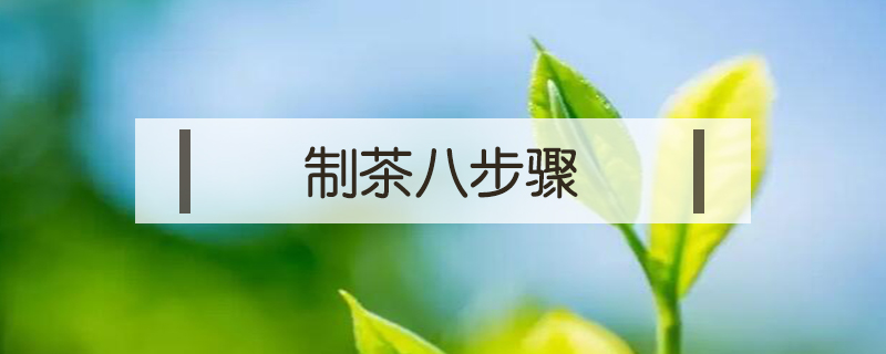 制茶八步驟