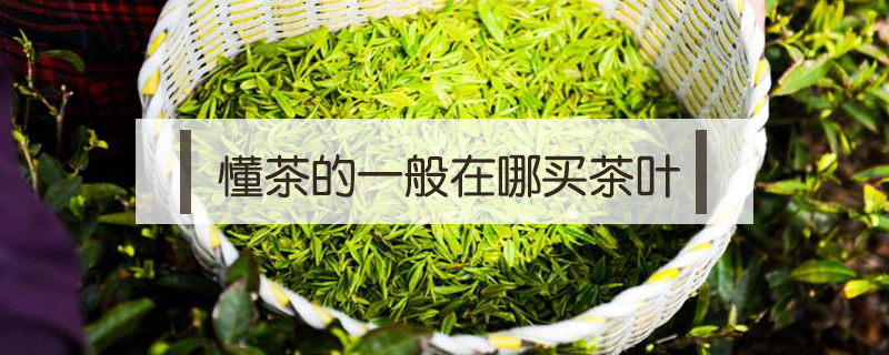 懂茶的一般在哪買茶葉