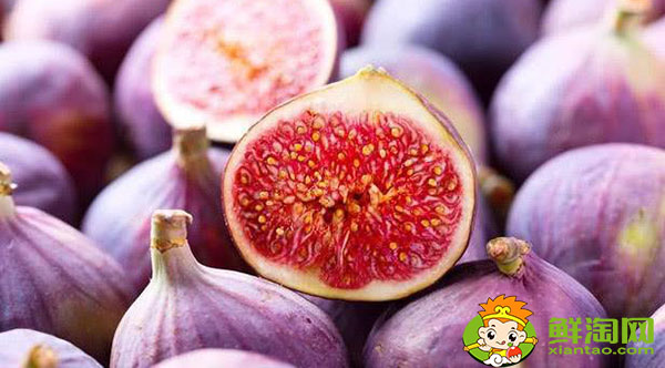 新鮮無花果可以種嗎，新鮮無花果多少錢一斤